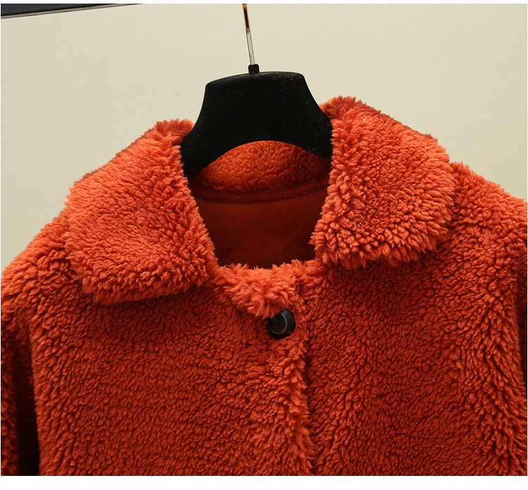 A new autumn and winter casual lambskin plush fur coat for women, a short Korean-style granular fleece warm top pic 8
