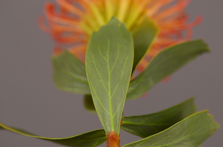 Factory direct sales, wholesale of in-stock inventory of artificial large needle cushion flowers, artificial flower sets, wholesale of living room, dining table, entrance hall, desktop decoration, flower arrangement and ornaments pic 43