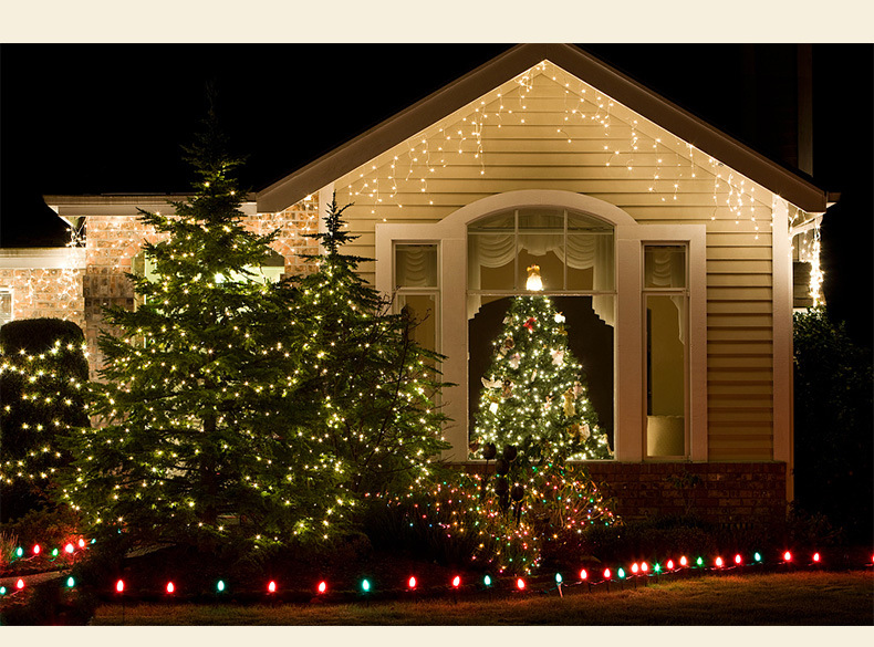 Remote-controlled Christmas tree, green wire LED copper wire light, star color light, string light, starry sky, courtyard green plant, rattan flower wreath light pic 31