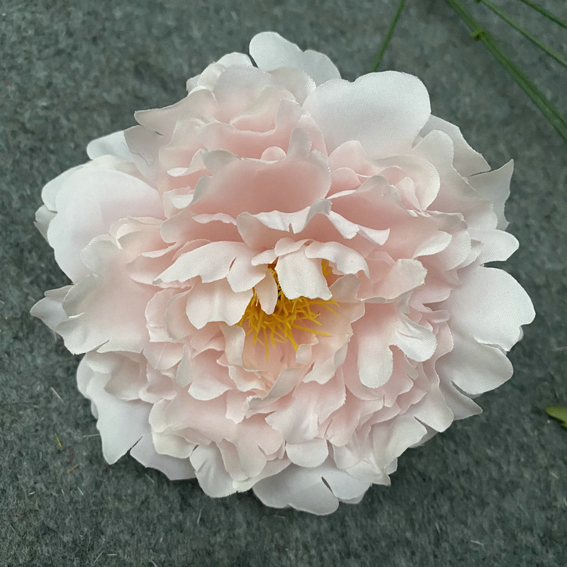 花头浅粉