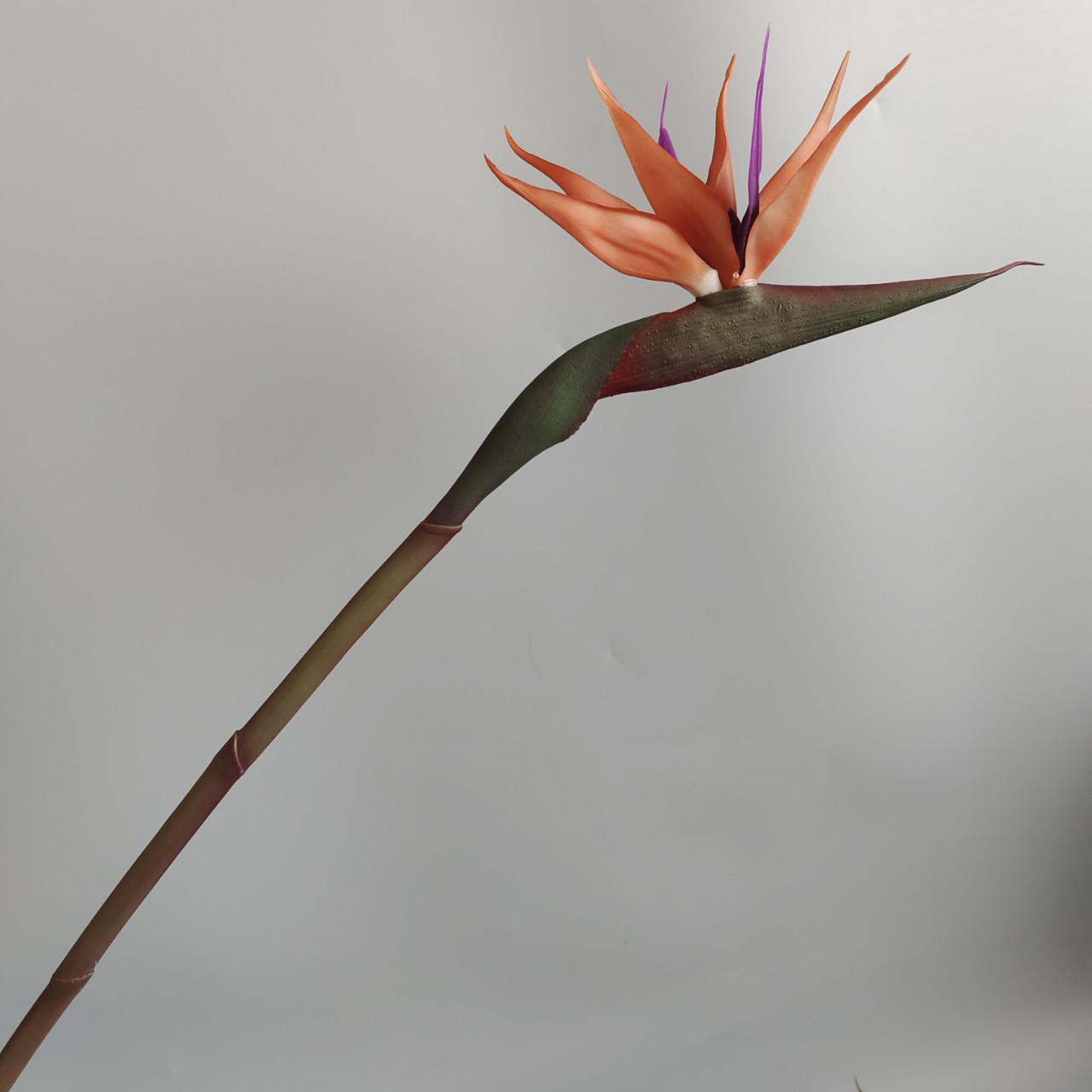 Soft rubber paradise Bird Crane Orchid New Chinese-style home model room decoration design, overseas wedding photography artificial flower pic 25