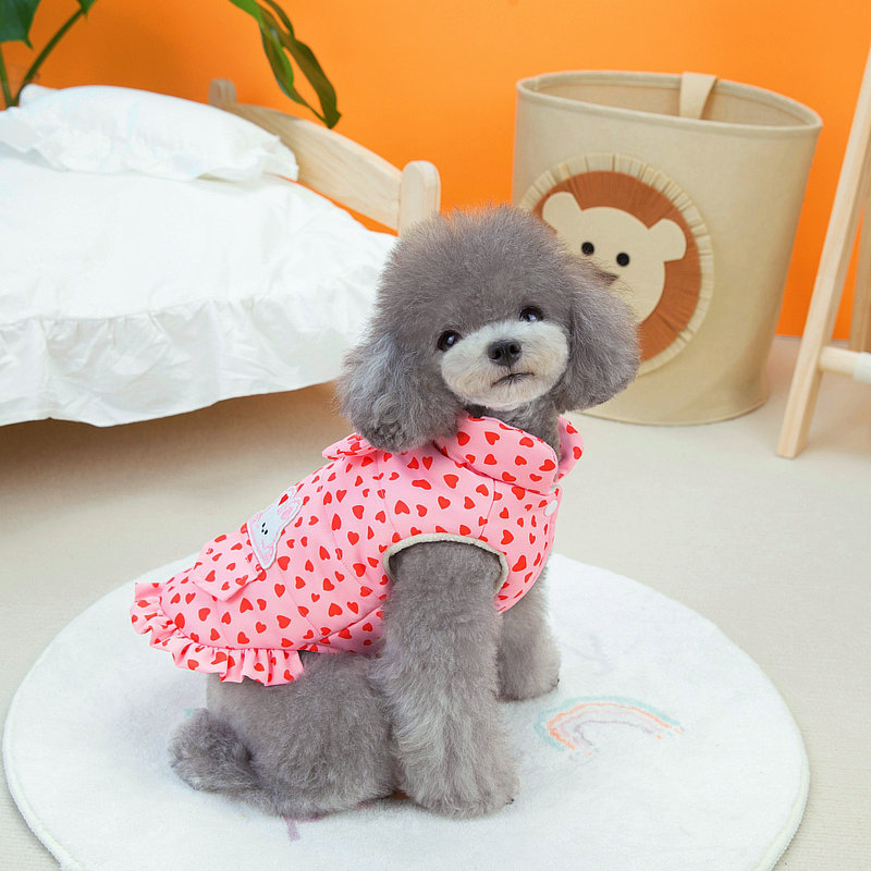 Pet clothing autumn and winter new collection: Teddy cotton skirt, Pomeranian small dog clothes, dog clothes, cat, All Heart Dot cotton clothes pic 8