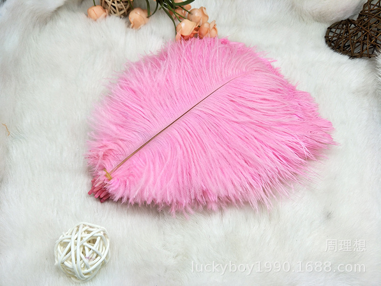 Colorful ostrich feathers 15-20cm, mask feathers, DIY accessories, wedding decoration props, ear-picking accessories, colorful feathers pic 40