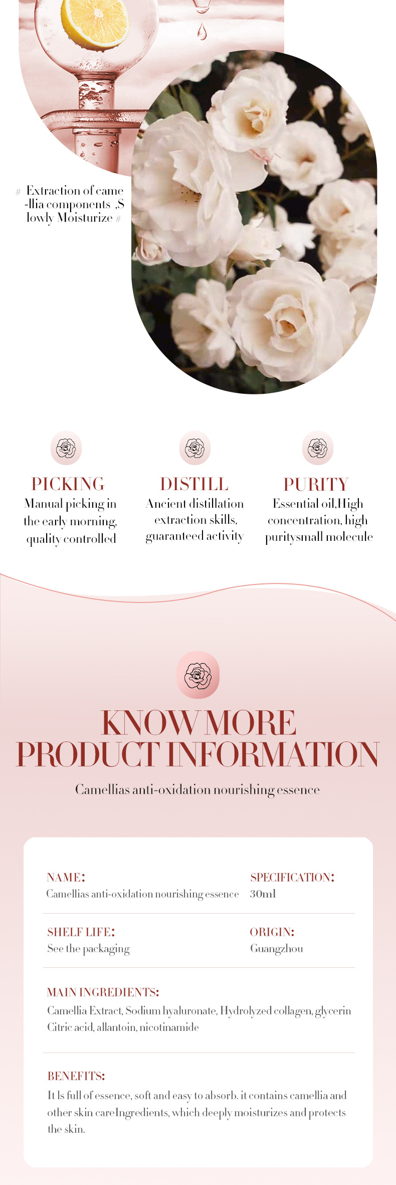 Cross-border BIOAOUA Camellia Antioxidant Nourishing Essence Hydrating, Moisturizing and hydrating Skin Repair Essence Essence pic 9