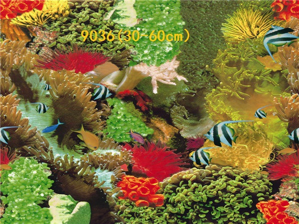 Wholesale production of 60cm high single-sided thin paintings, various ecological aquarium background paintings. Craft paintings. Aquarium equipment pic 58