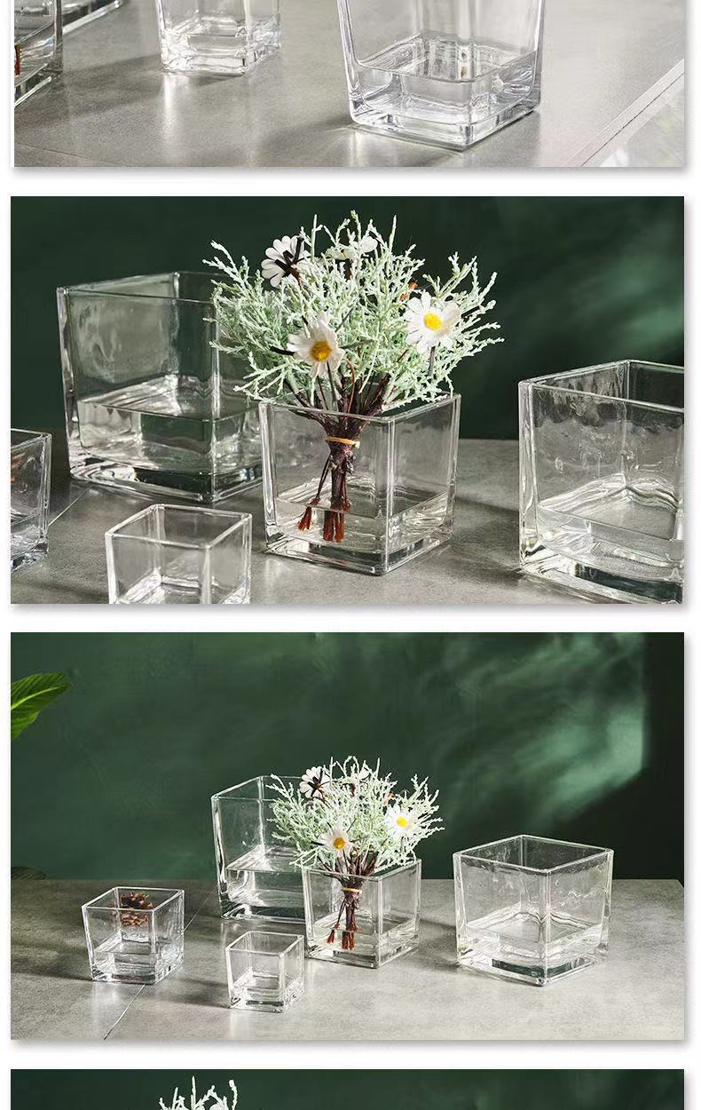 Glass square VAT, square glass flowerpot, hydroponic container, transparent multi-purpose square VAT, green vine plant, multi-functional hydroponic vase, fish tank pic 6