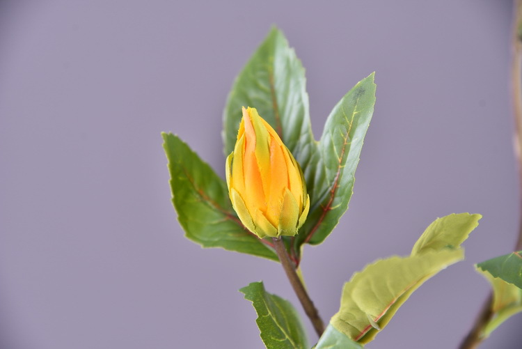 Factory direct sales of artificial hibiscus, modern and simple living room and hotel floor-standing artificial flowers wholesale, artificial roselle pic 18