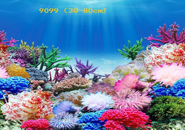 Wholesale export of 50cm high background painting, single-sided thin painting, 3D stereoscopic ecological aquarium sticker paper pic 101