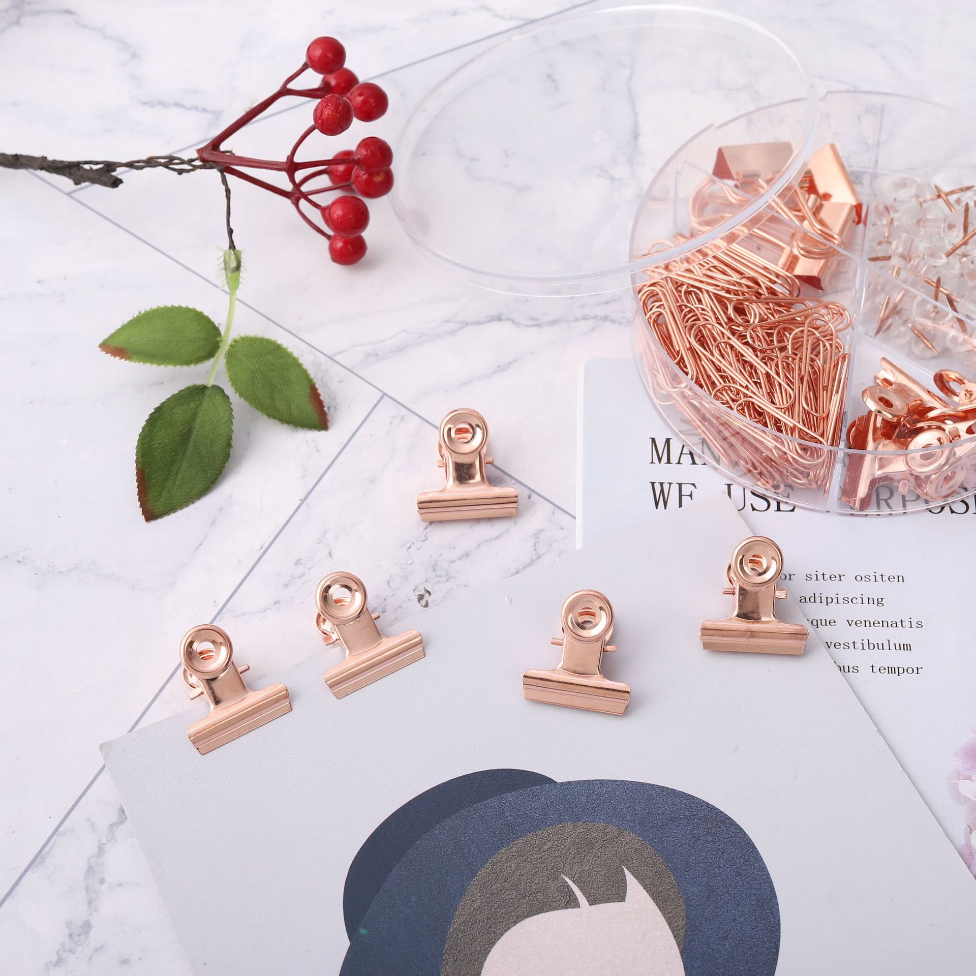 Cross-border direct supply 19mm rose gold long-tail clip paperclip storage set, multi-functional I-shaped nail receipt holder combination pic 6