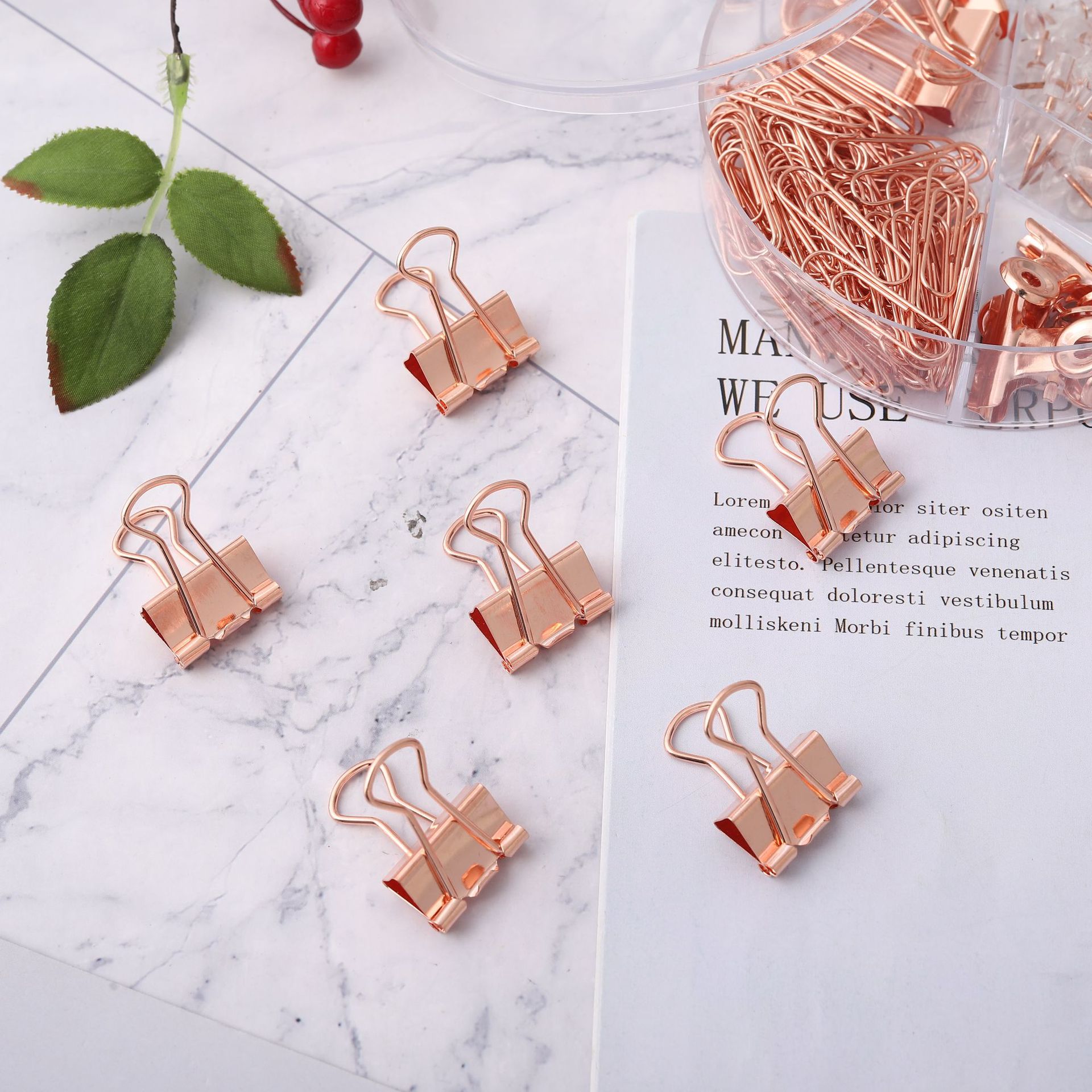 Cross-border direct supply 19mm rose gold long-tail clip paperclip storage set, multi-functional I-shaped nail receipt holder combination pic 7