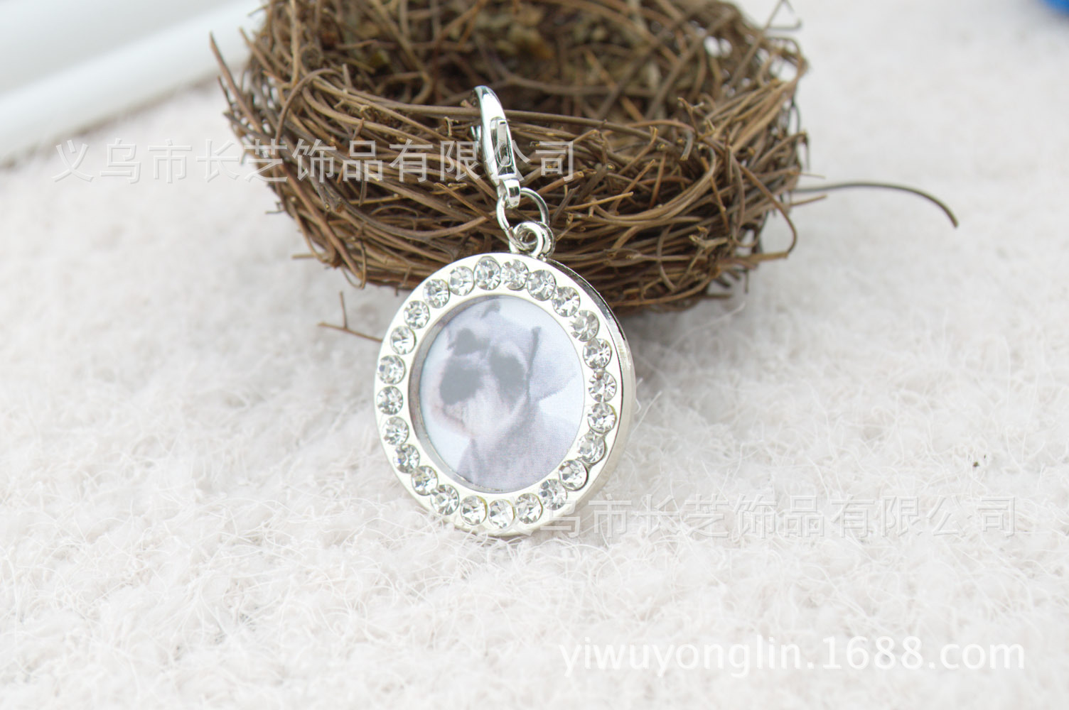 Factory direct supply of cross-border in-stock handwritten heart-shaped dog pendants, pet identity tags, Easter and Christmas diamond-encrusted dog tags pic 26