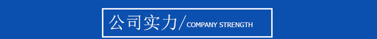 3 公司实力