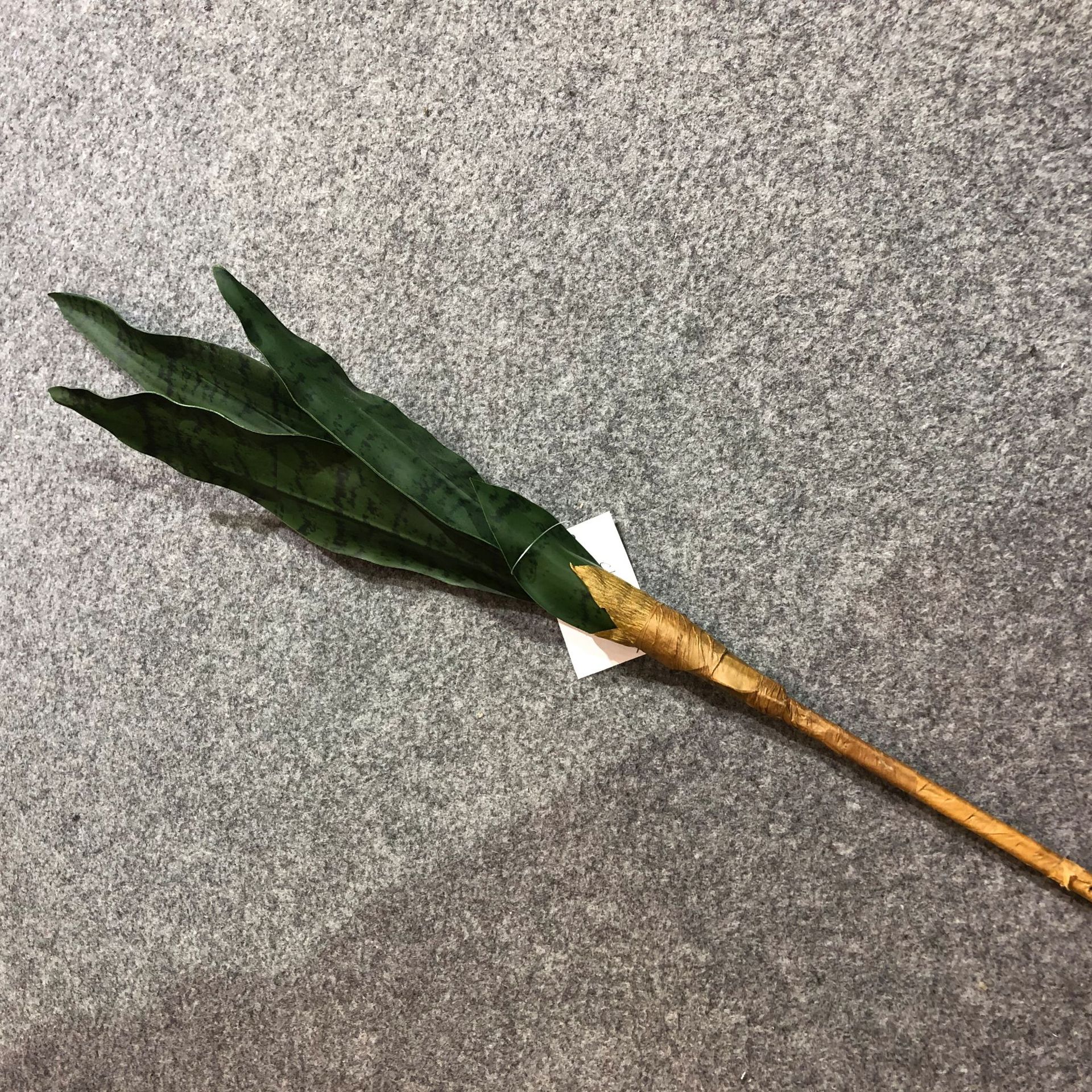 Simulated tiger skin lily, desert plant, simulated agave, single tiger skin lily, yellow-edged tiger skin lily, Phalaenopsis leaves pic 9