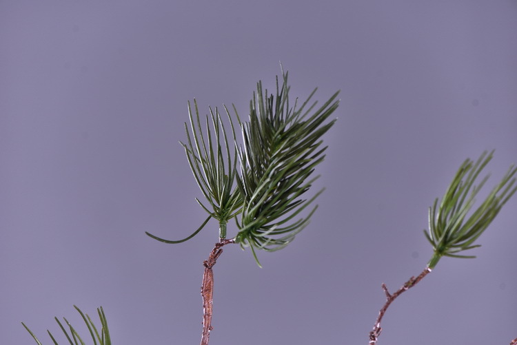 Wholesale of original factory imitation pine needles, home furnishing mall, wedding Zen-themed imitation plant decorative items, imitation pine branches pic 6