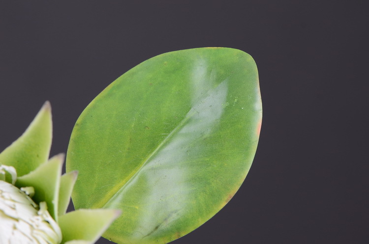 Dongli Flower Industry Factory offers direct sales and wholesale of tropical flowers, including simulated little emperor flowers, Nordic minimalist living room and home decoration simulated flowers, as well as entrance and table flowers pic 15