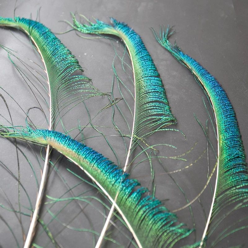 Wholesale of peacock feathers, natural peacock feathers, single-sided feathers, DIY handicrafts, materials, decorative ornaments pic 6