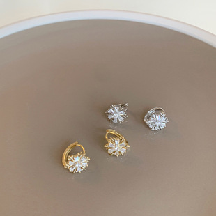 The 2025 new cold style earrings, a niche design for women, zircon ear buckles S925 silver needle, a popular earpiece pic 3