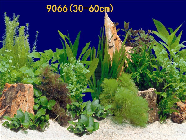 30cm tall, single-sided thin aquarium fish tank background painting, aquarium equipment and supplies glass sticker background painting pic 60