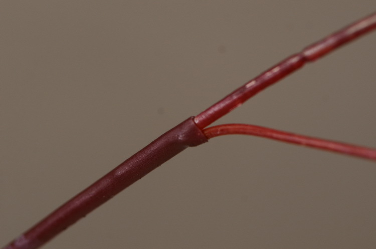 Dongli Flower Industry, the original manufacturer, offers direct sales of green plants in stock, wholesale of artificial leaves, round leaves with fruits, eucalyptus leaves, eucalyptus leaves, and one-piece consignment pic 39