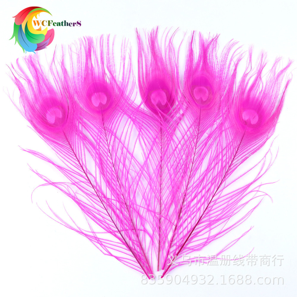 温册厂家直销天然孔雀羽毛DIY家居花瓶装饰婚庆道具新娘胸花材料详情13