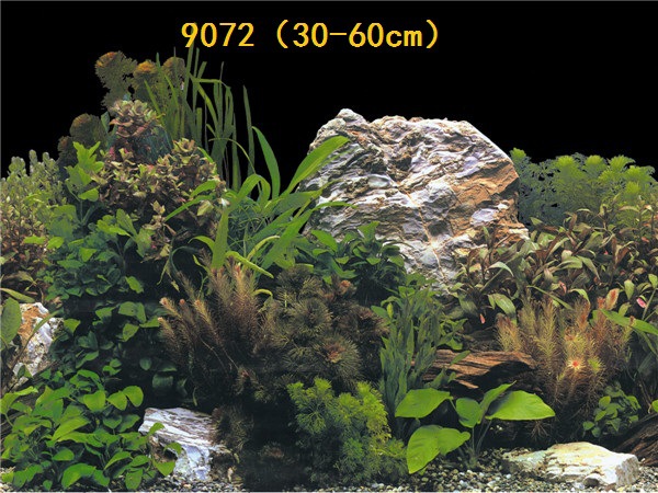 30cm tall, single-sided thin aquarium fish tank background painting, aquarium equipment and supplies glass sticker background painting pic 63