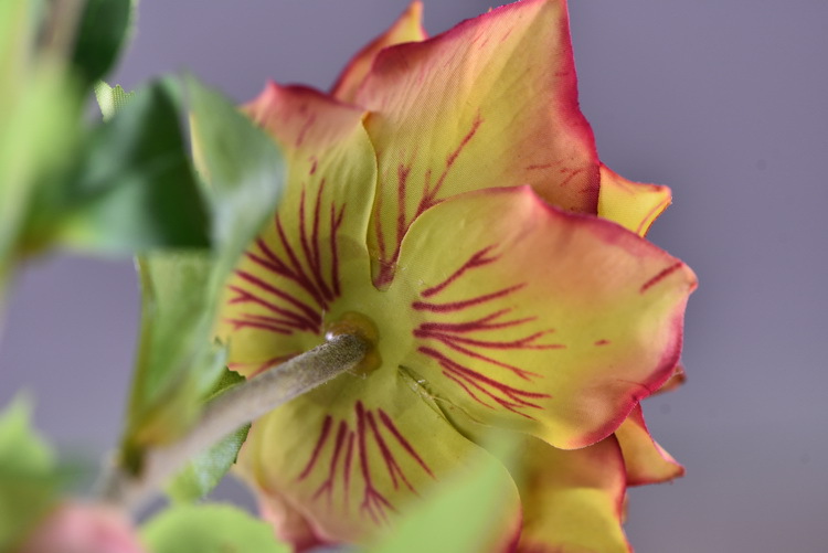 Dongli Flower Industry Factory directly sells artificial roses, ice mountain roses, home furnishings, hotels, shopping malls, wedding decorations, artificial flower bouquets, and high-end ornaments pic 56