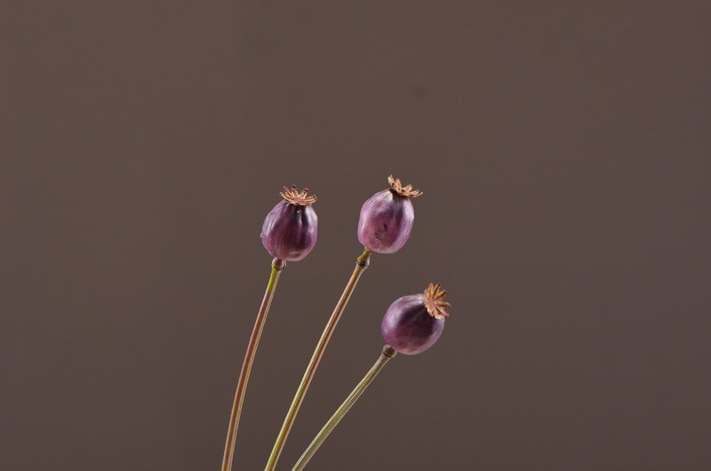 Original factory products, artificial fruits, flower arrangement materials, wabi-sabi style, simple country style, artificial fruits wholesale, artificial flowers pic 5