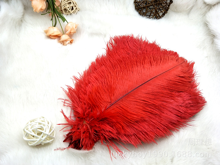 Colorful ostrich feathers 15-20cm, mask feathers, DIY accessories, wedding decoration props, ear-picking accessories, colorful feathers pic 46