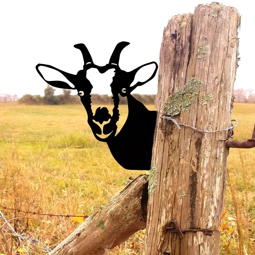 5_S0d8e27f18b9d490bbe32909ca06