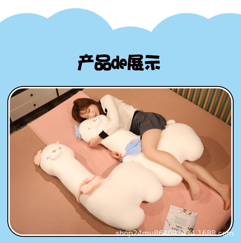 羊驼
