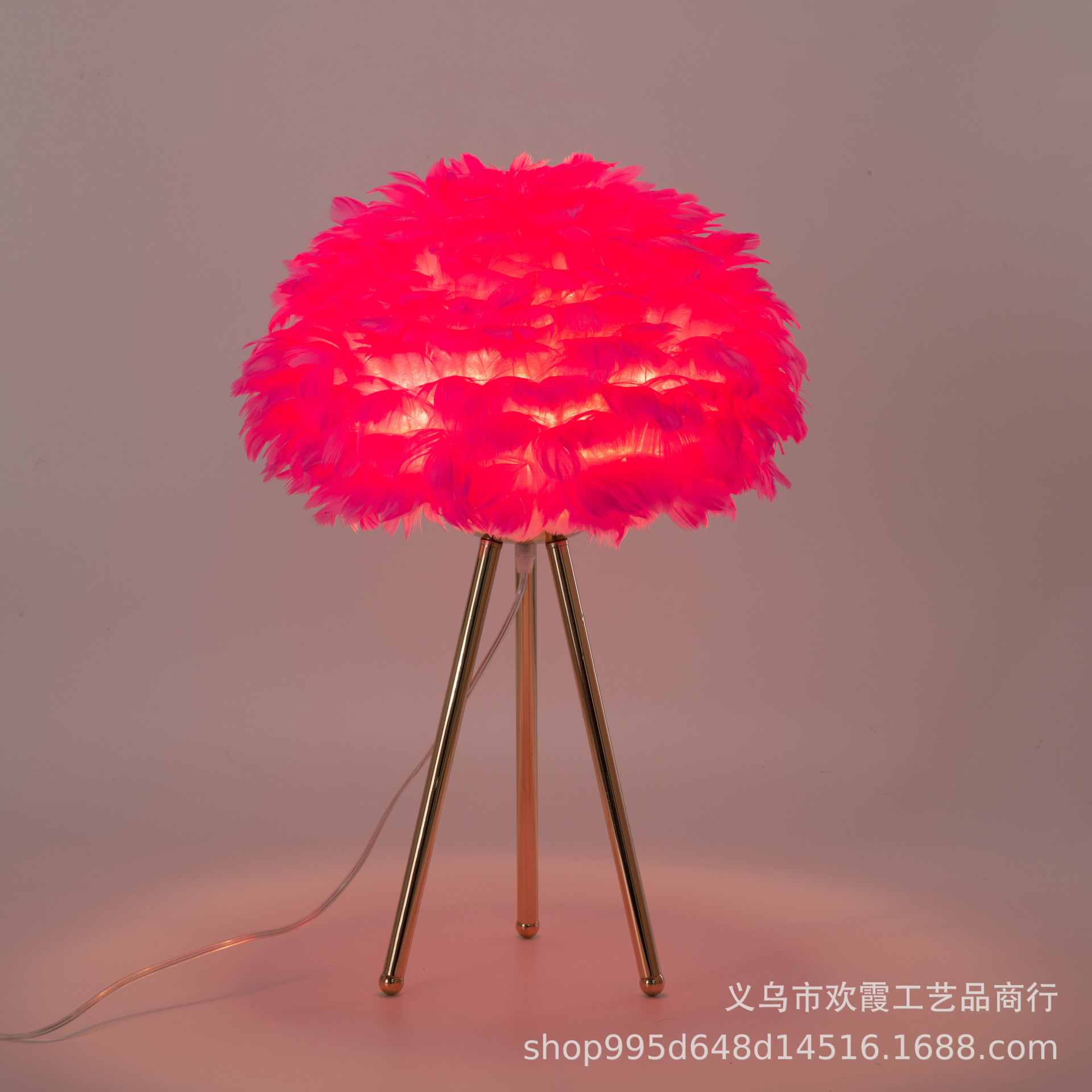 Feather table lamp, Nordic living room, bedroom, ins girl, princess room, warm and romantic, popular bedside standing table lamp pic 10