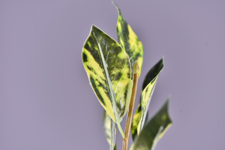 Wholesale of high-end flower and leaf materials for Huazhi Artificial Plants, wedding, hotel, living room artificial leaves, window display and landscaping green plants pic 10