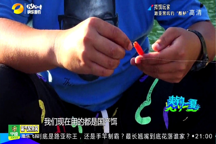 Dongle Jian Soft Bait T Swing Tail Fish LJ3.1 Inches 80MM 2.2g 10 Pieces Swing Bait [Fat Goluya] pic 18