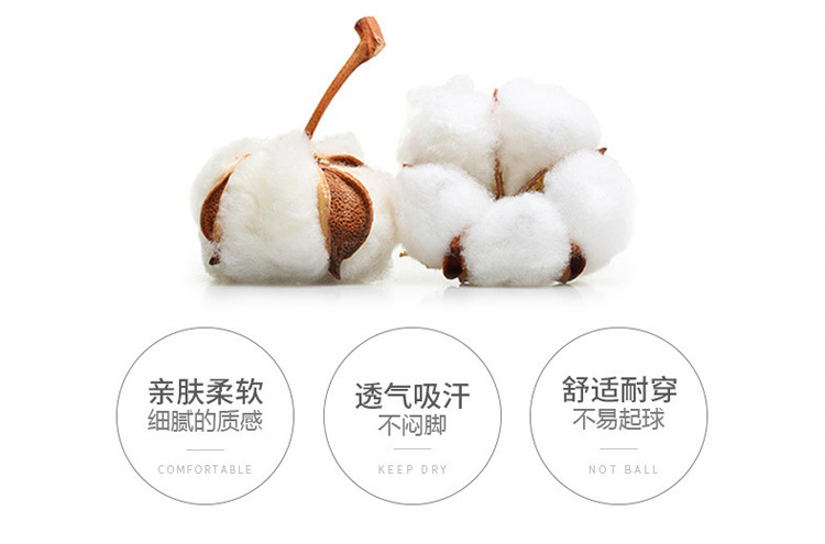 1726一片式冰丝船袜1_03