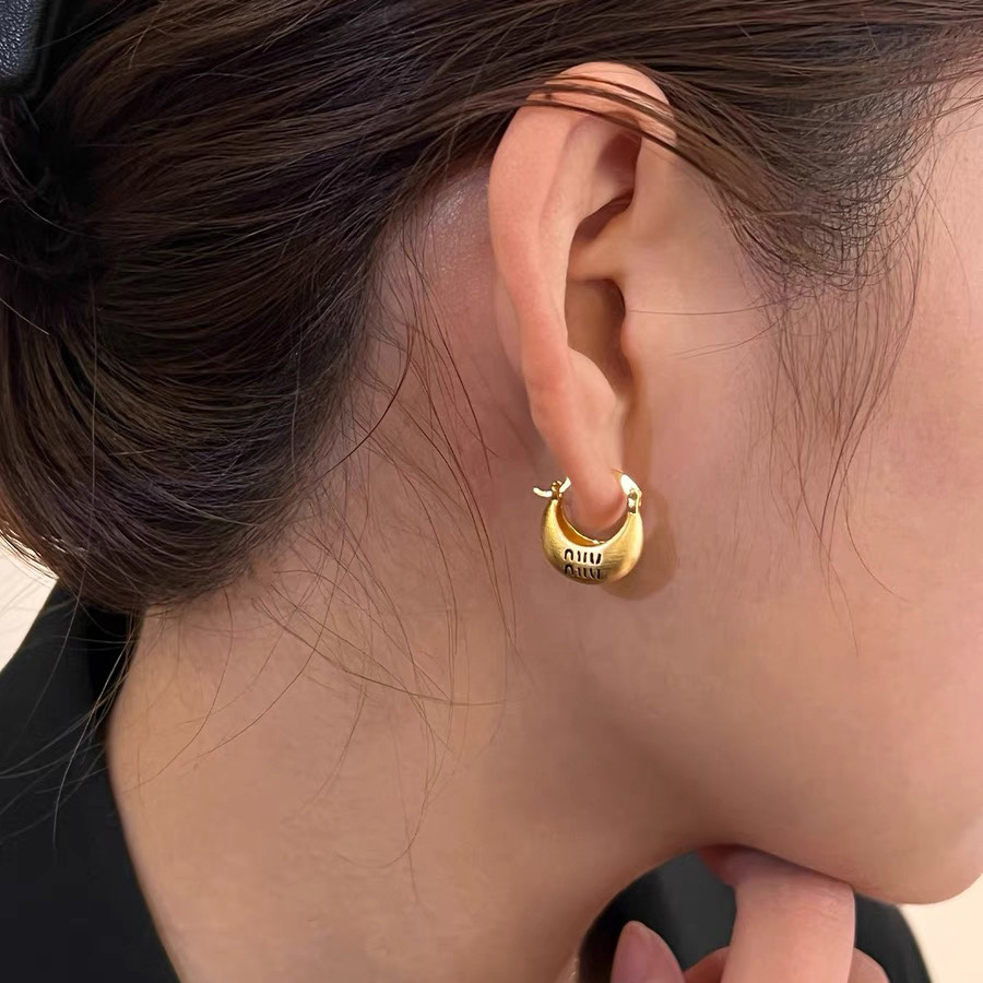 High-end, light luxury metal earrings for women, new style in 2025, with a unique and niche design. Stylish Korean earrings pic 16
