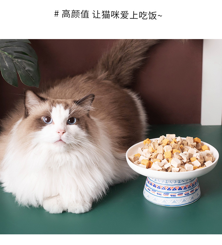 亚马逊陶瓷猫碗高脚护颈椎猫粮碗猫盆饮水碗宠物零食碗波西米亚风详情14