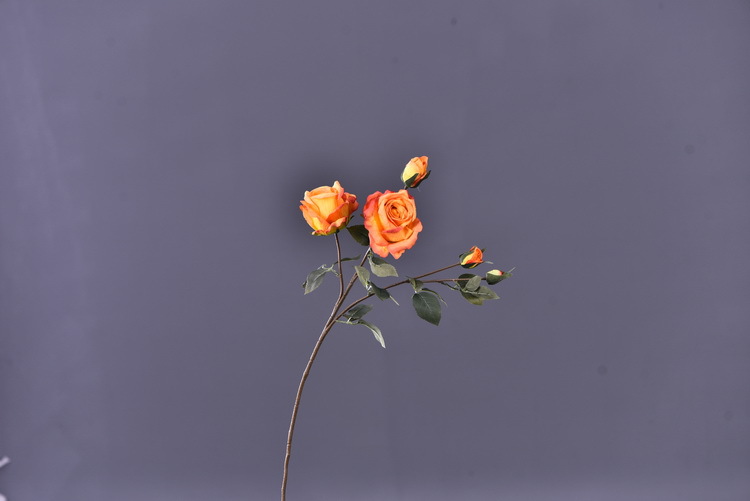 5 pieces of retro charred edge rose artificial flower decoration, artificial flower imitation dried flower, home soft decoration withered and dry, wedding Lanjin artificial rose wholesale pic 53