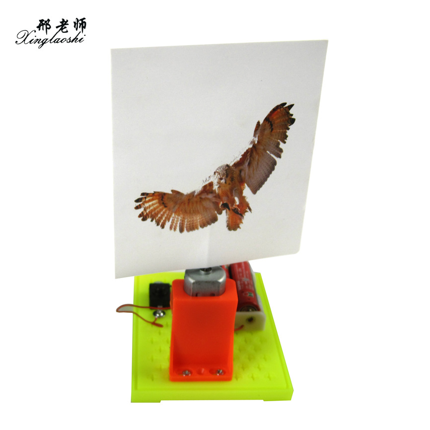 Caged Bird Technology Creates Visual Pause: Caged Bird DIY Experiment Small Project pic 6