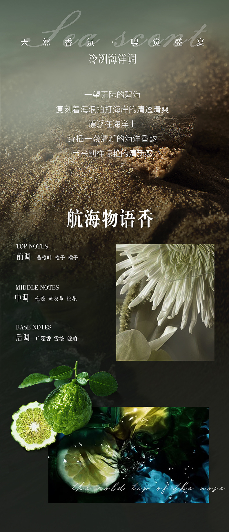 跨境 汽车香薰车载香水太阳能摆件车用清新香氛车载香薰持久留香详情11