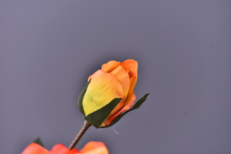 Factory wholesale of 5-head simulated rose with charred edges, retro Greek rose, living room, hotel and homestay photography props rose pic 21