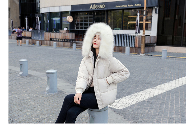 New winter cotton-padded jacket, thickened cotton-padded jacket, down cotton-padded jacket for women, short Korean-style fitted hooded bread jacket pic 26
