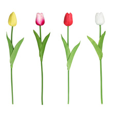 Amazon set of simulation succulent three-piece set with PVC box home decoration simulation plant potted plant gift pic 14