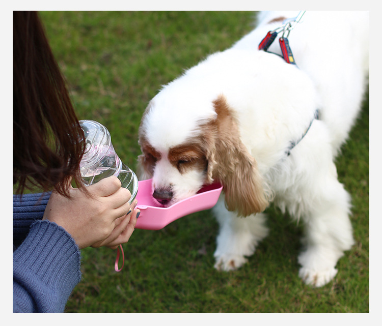 Pet supplies: Outdoor water bottle for dogs, portable travel water bottle, Teddy outdoor portable water feeding cup pic 12
