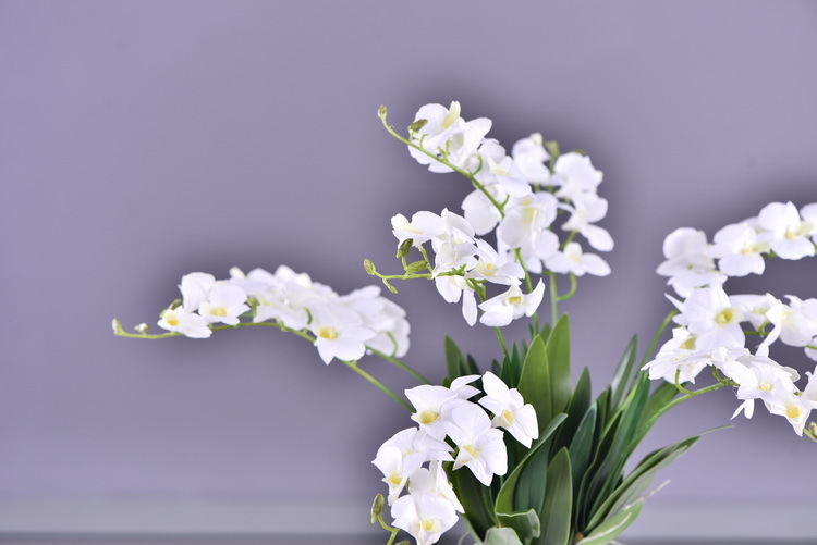 Factory direct sales of high-end artificial dendrobium, wholesale of artificial flowers with leaves, home decoration of Phalaenopsis and Lanjin artificial plants pic 52