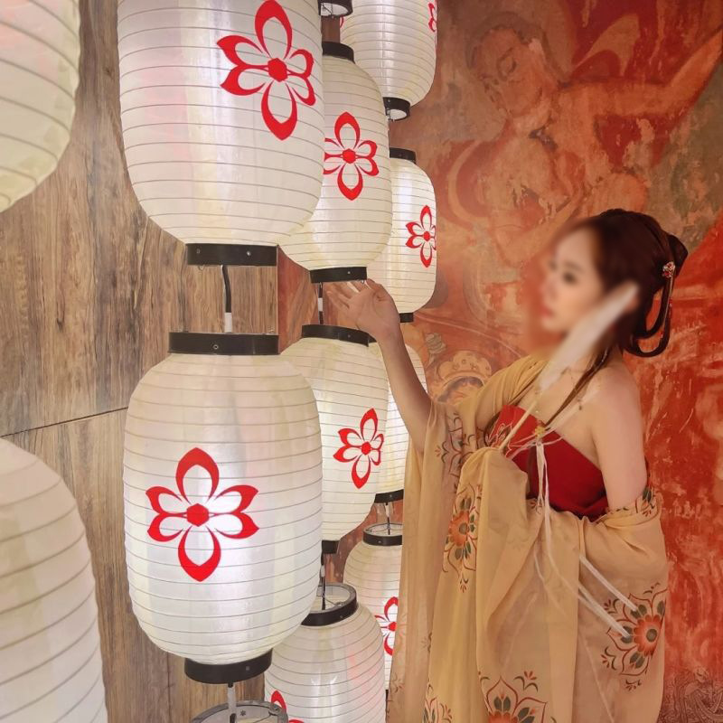 Ancient-style lanterns, Hanfu shooting props, DIY lantern walls, Lantern Festival riddles, Tang and ancient-style wedding lantern decorations pic 28