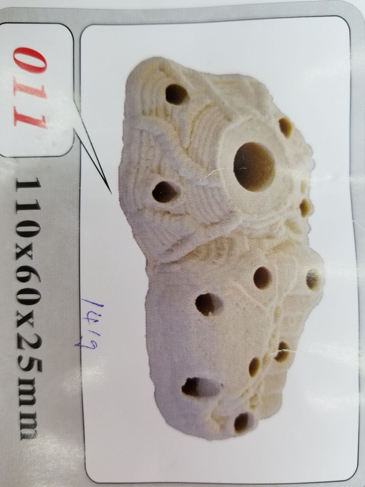 Baojie Aquarium Base, simulation aquatic plant base, fish tank aquatic plant base, ceramic base manufacturer wholesale pic 53