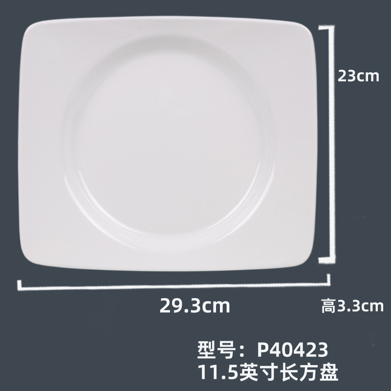 P40423#11.5英寸长方盘