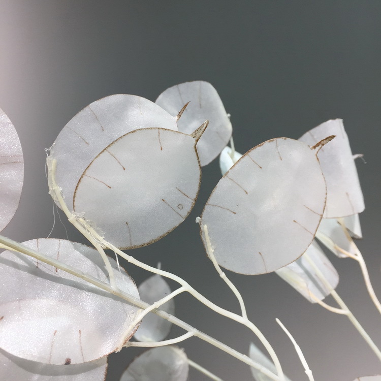 【 Factory Direct Sales Wholesale 】 Dongli offers direct supply of living room home decoration artificial dried flowers wholesale and artificial silver fan leaves in stock pic 7