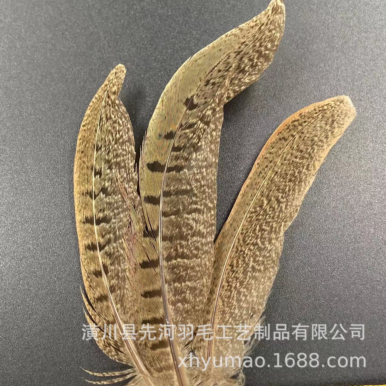 厂家直销鸡尾印第安头带非洲异国风情头饰舞台表演节日聚会服装详情21