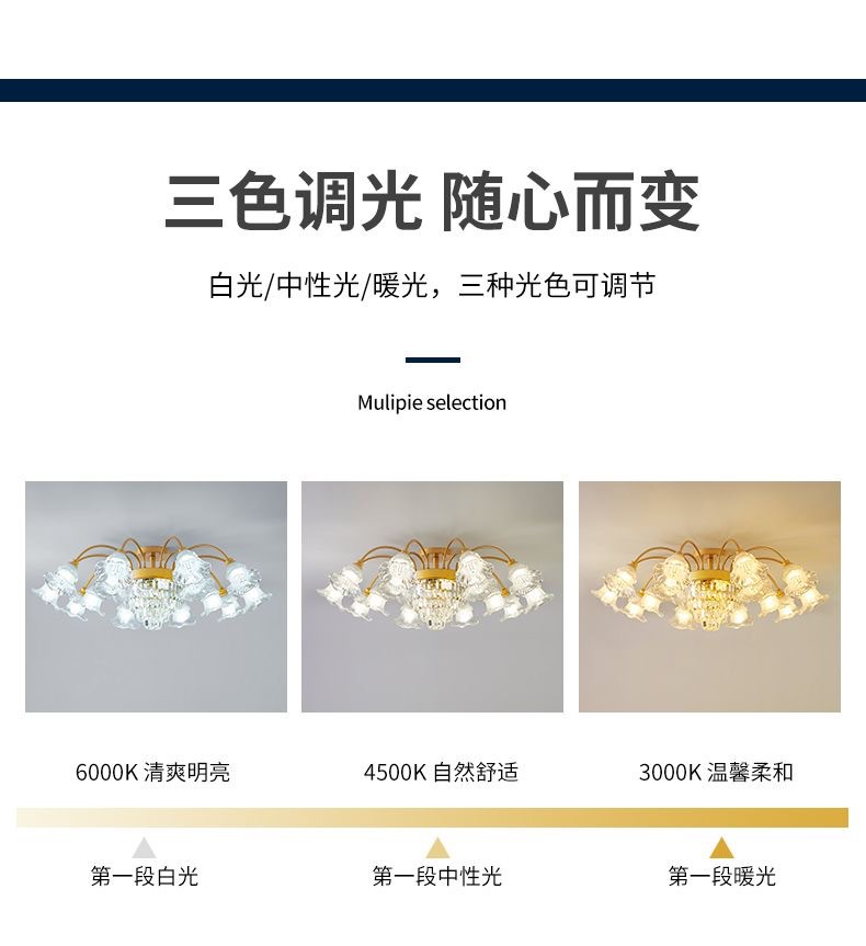 新款欧式客厅吊灯轻奢水晶灯美式大厅客厅灯家用简约餐厅卧室灯具详情6